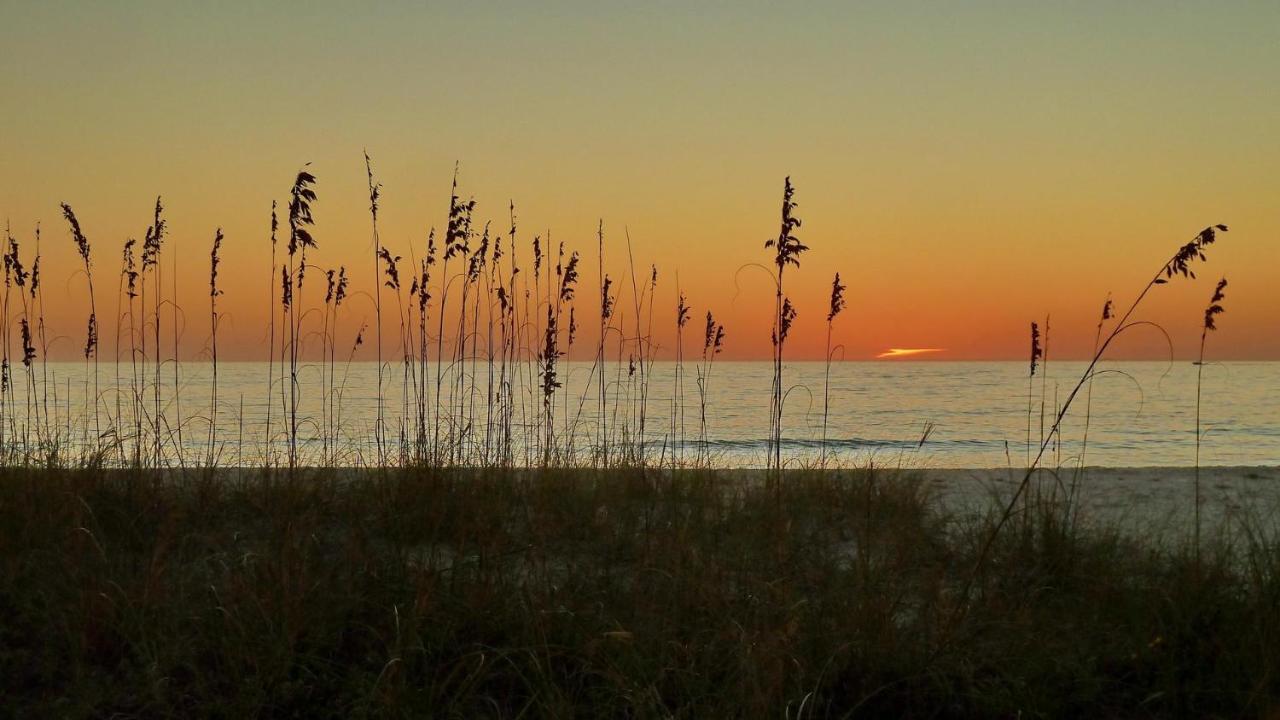 Sunset Chateau 409 St. Pete Beach Eksteriør bilde